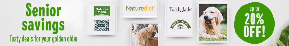 Senior Dog Deals