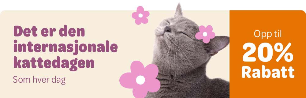 Cat Day