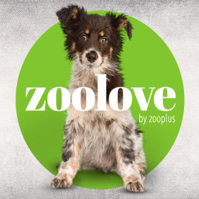 zoolove Hrană & Accesorii pentru câini