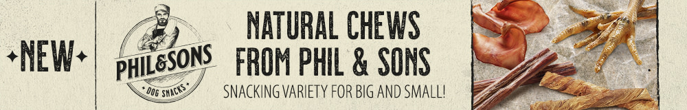Discover Phil and Sons