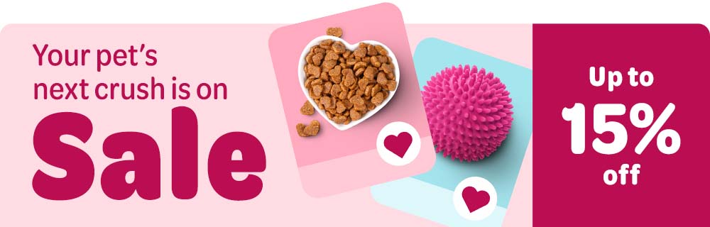 Up to 15% off: your pet's next crush is on sale