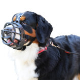 Coa Navigation Dog safety 