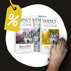 10 € popusta 2 x 12 kg Wolf of Wilderness suhe hrane za pse