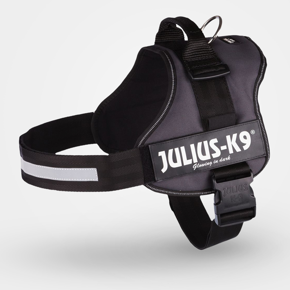 Поводки, шлейки, ошейники для собак: выгодно купить в zoochic