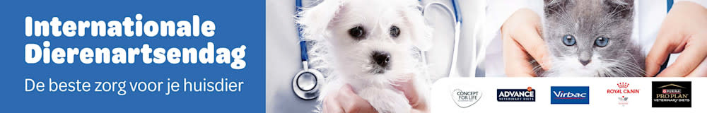 International vet day