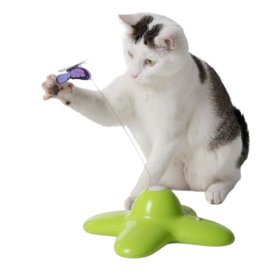 Zabawki interaktywne dla kota
