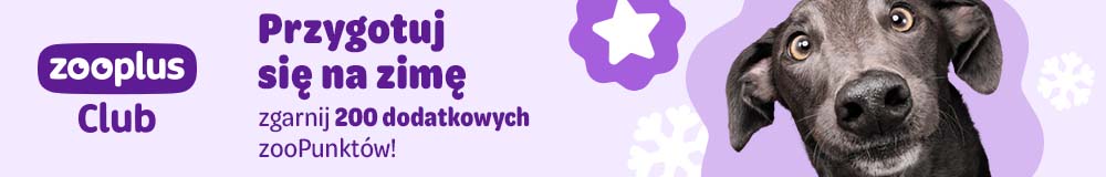 zooPunkty