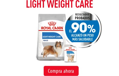 Royal Canin para perros con sobrepeso