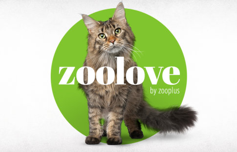 Produits zoolove pour chat ►