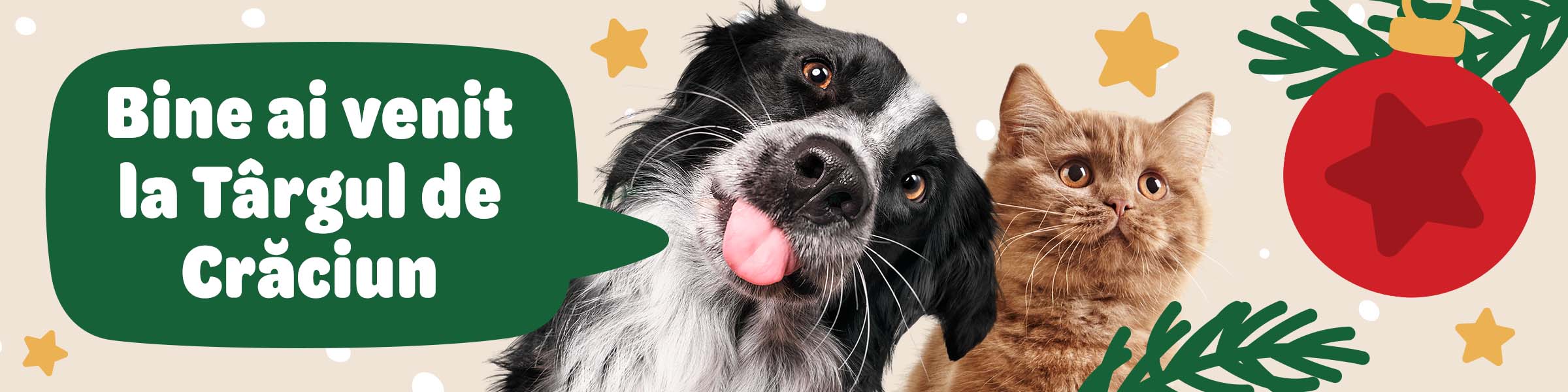 Bine ai venit la Târgul de Crăciun