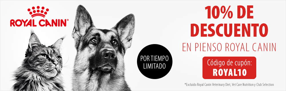 10% de descuento en pienso Royal Canin 