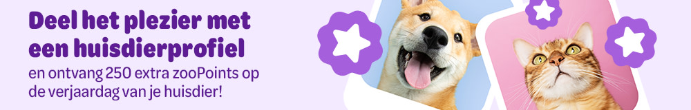 Pet Profile