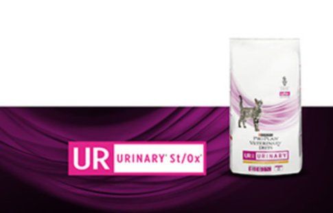 Purina Pro Plan Veterinary Diets Feline UR ST/OX - Urinary Ozeanfisch