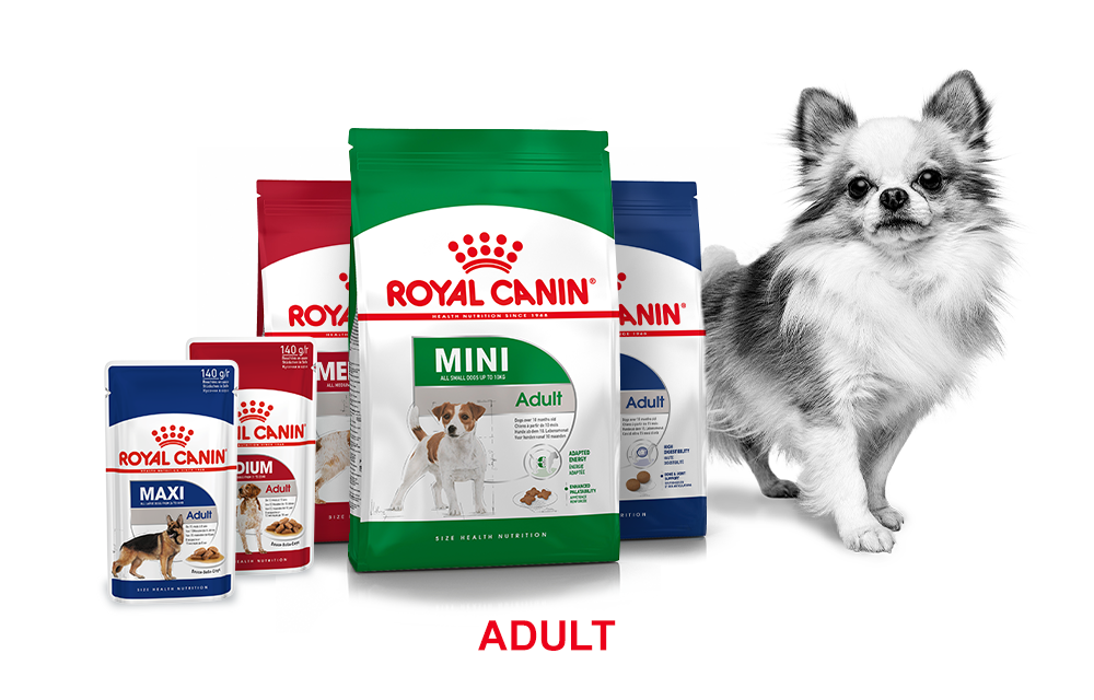 Royal canin hotsell 4800 zooplus