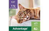 Advantage® 80 voor Katten vanaf 4 kg