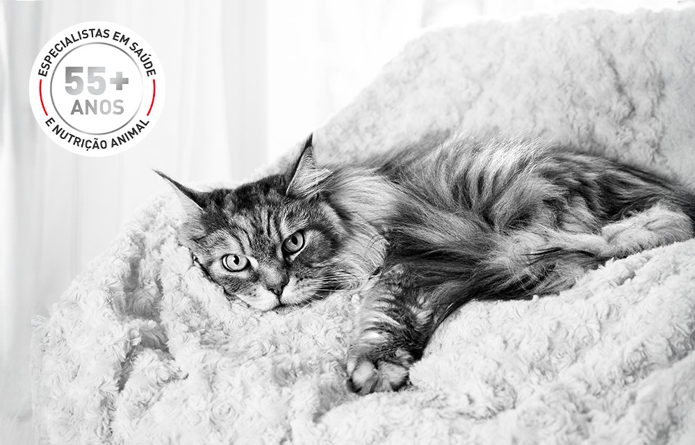 Mais de 55 anos de experiência em saúde animal e ciência