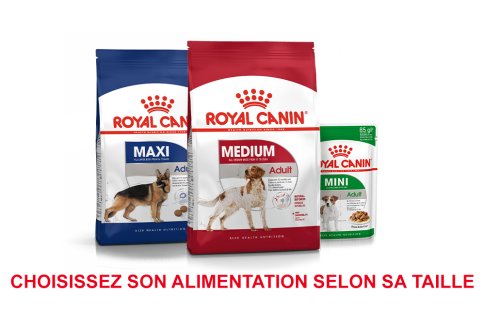 ROYAL CANIN BRAND PAGE - DOG Subpage - Grid Container - Size image