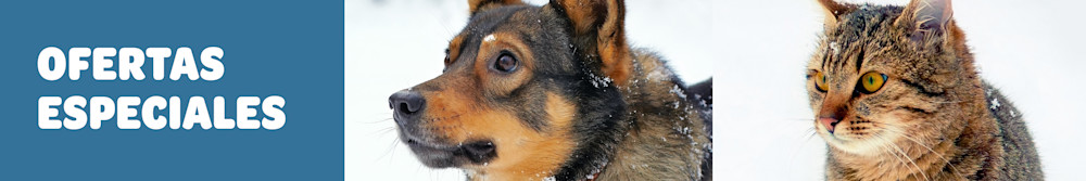 Ofertas de la semana en zooplus