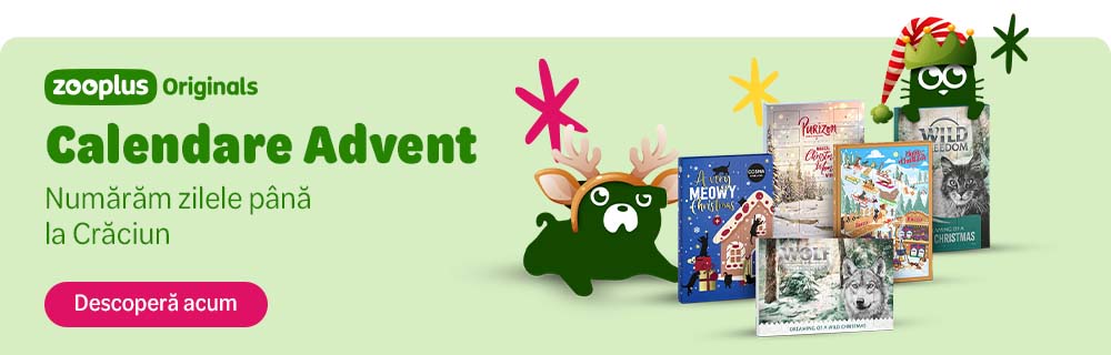 Calendare Advent. Numărăm zilele până la Crăciun