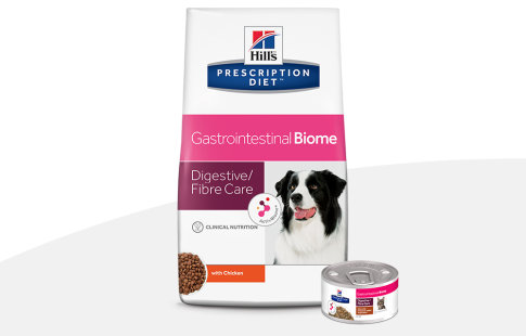 hill's prescription diet digestive care para cães