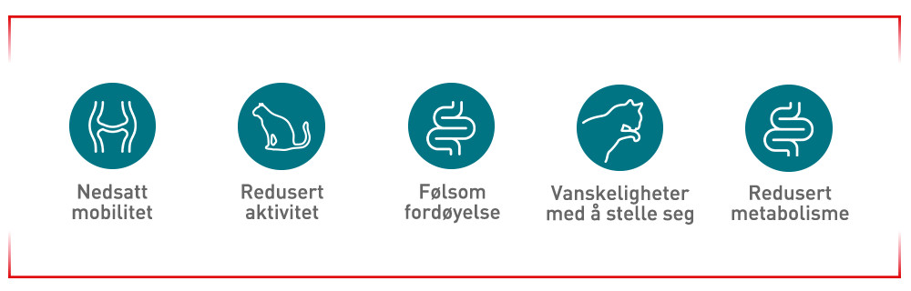 Tegn man bør være oppmerksom på