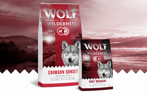 Wolf of Wilderness Red Classic
