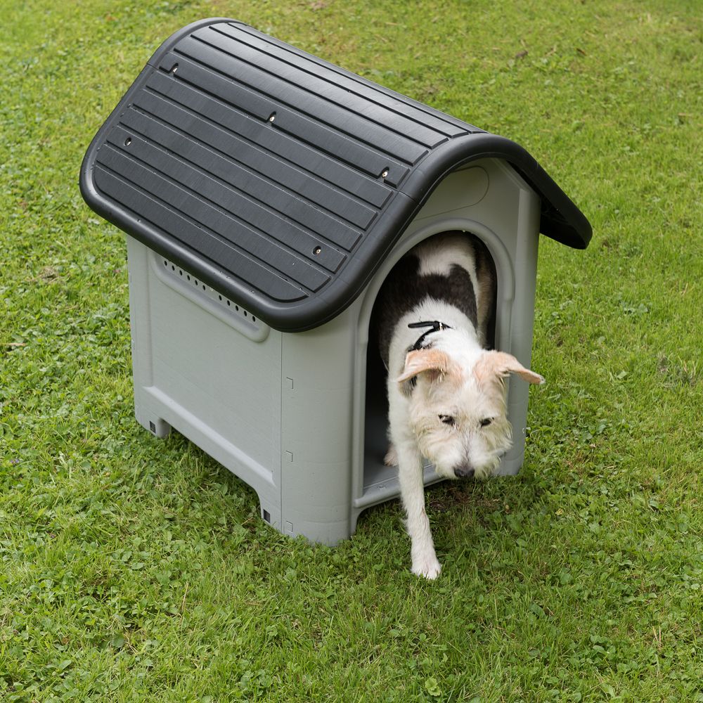 Слот с будками dog houses info. Будка для собаки. Пластиковая будка. Пластиковая будка для собаки. Складная будка.
