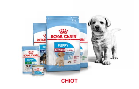 ROYAL CANIN BRAND PAGE - DOG Subpage - Grid Container Way of life - Puppy