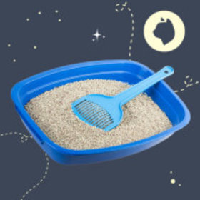 Pijesak za mačke