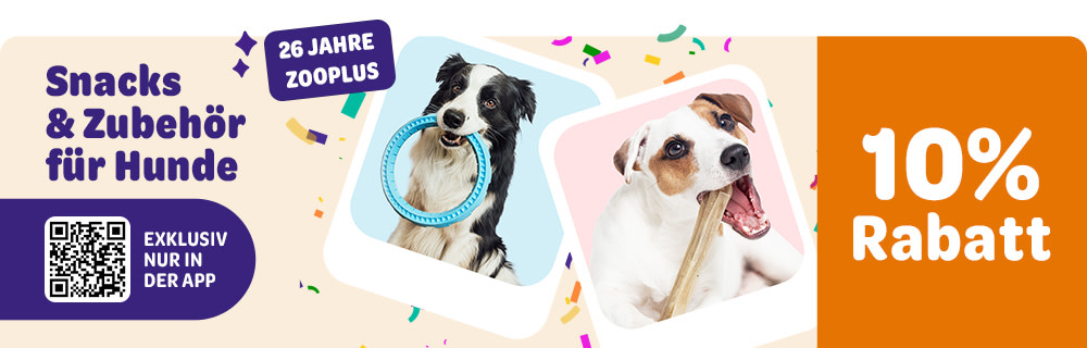 Snacks & Zubehör für Hunde, 10% Rabatt