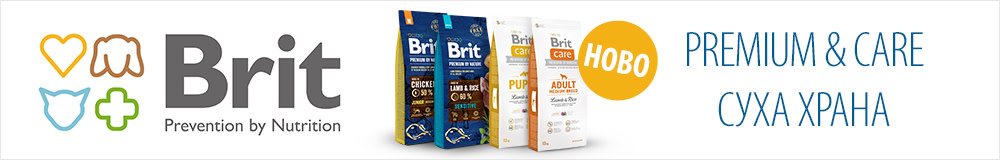 Brit