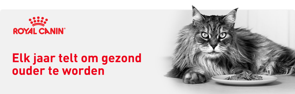 Elk jaar telt voor gezond ouder worden