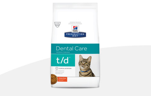hill's prescription diet problemas dentários para gatos