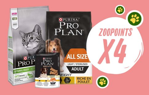 zooPoints x4 sur PRO PLAN pour chien et chat !