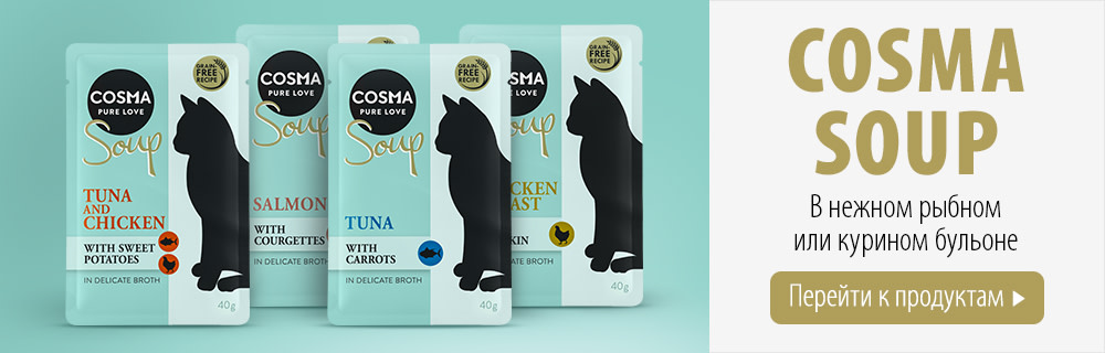 Cosma Soup влажный корм для кошек