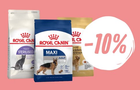 Croquettes Royal Canin : 10 % de remise !