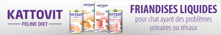 Friandises Kattovit pour chat