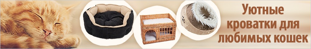 Кроватки для кошек
