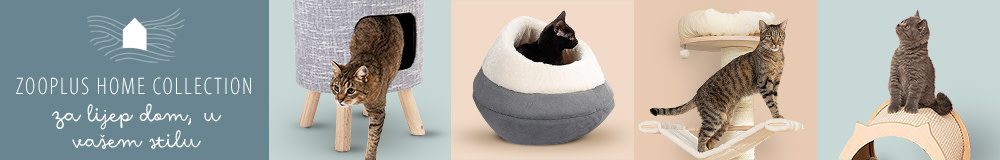 Home collection - sve za mačke