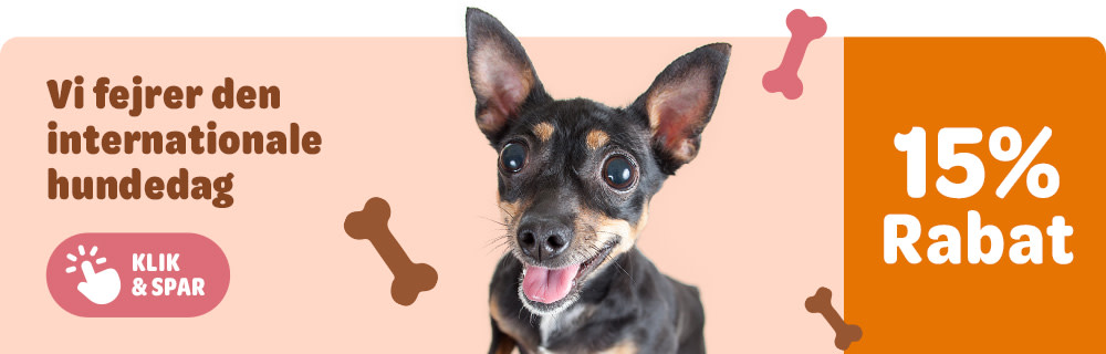 Vi fejrer den internationale hundedag, spar 15% på udvalgt foder til hunde