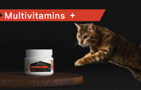 Pro Plan Cat Multivitamin