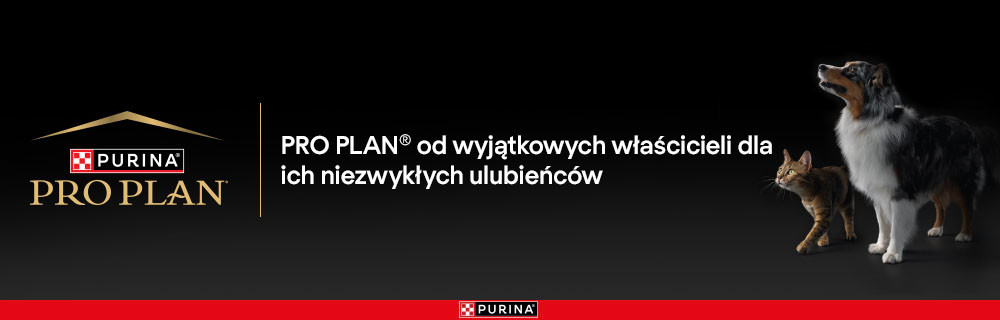 Pro Plan
