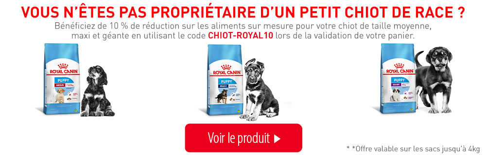 Vous n'êtes pas propriétaire d'un petit chiot de race ?