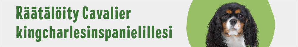 Dog Breed Cavalier King Charles 1000x160 FI