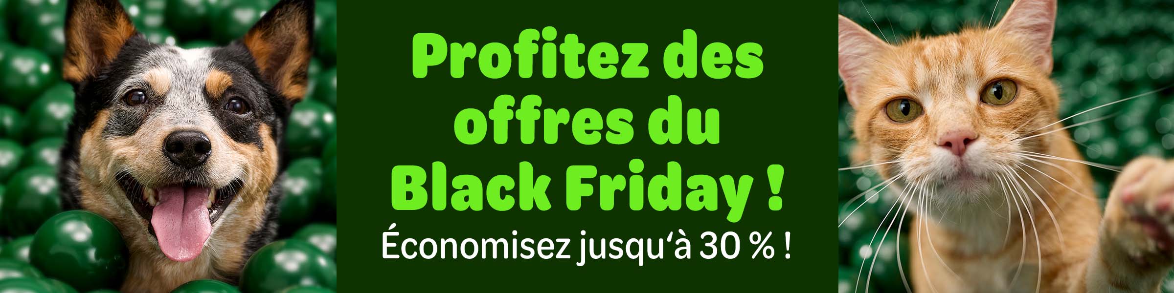 Découvrez les meilleures offres de l'année.