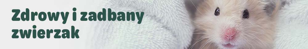 Pielęgnacja i higiena