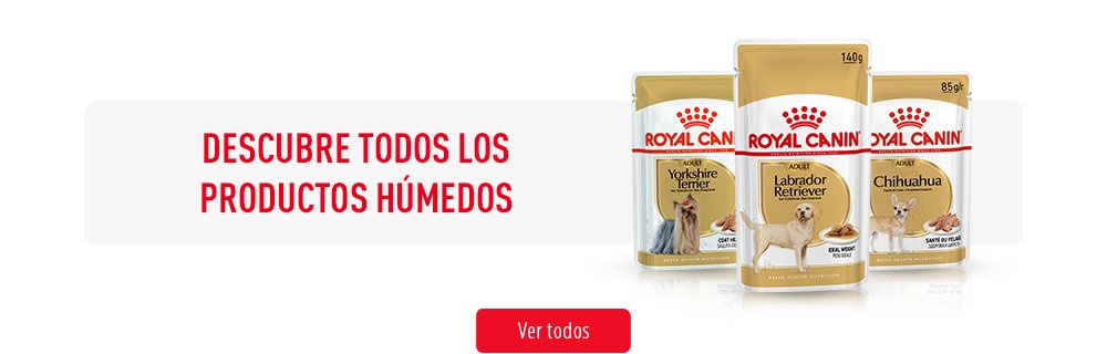 Royal Canin comida húmeda para perros de raza