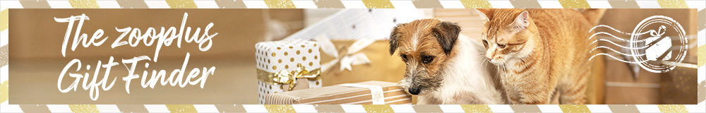 Find the perfect pressie for your furkid!