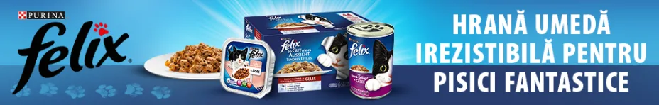 Hrană umedă pentru pisici Felix