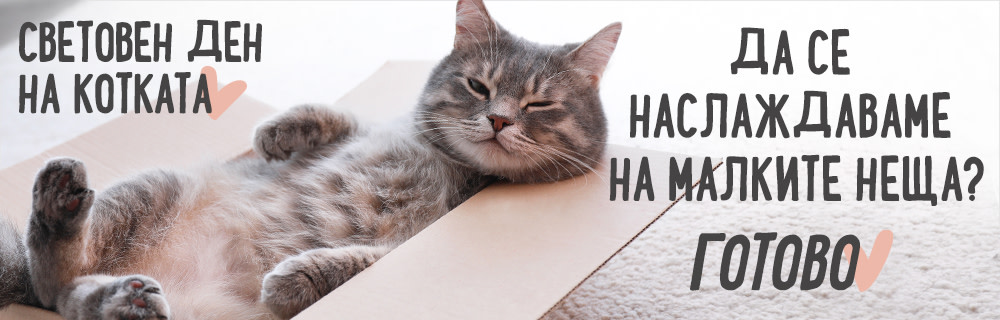 Световен ден на котката